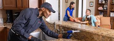 Best Pest Exclusion Services  in Dennison, OH